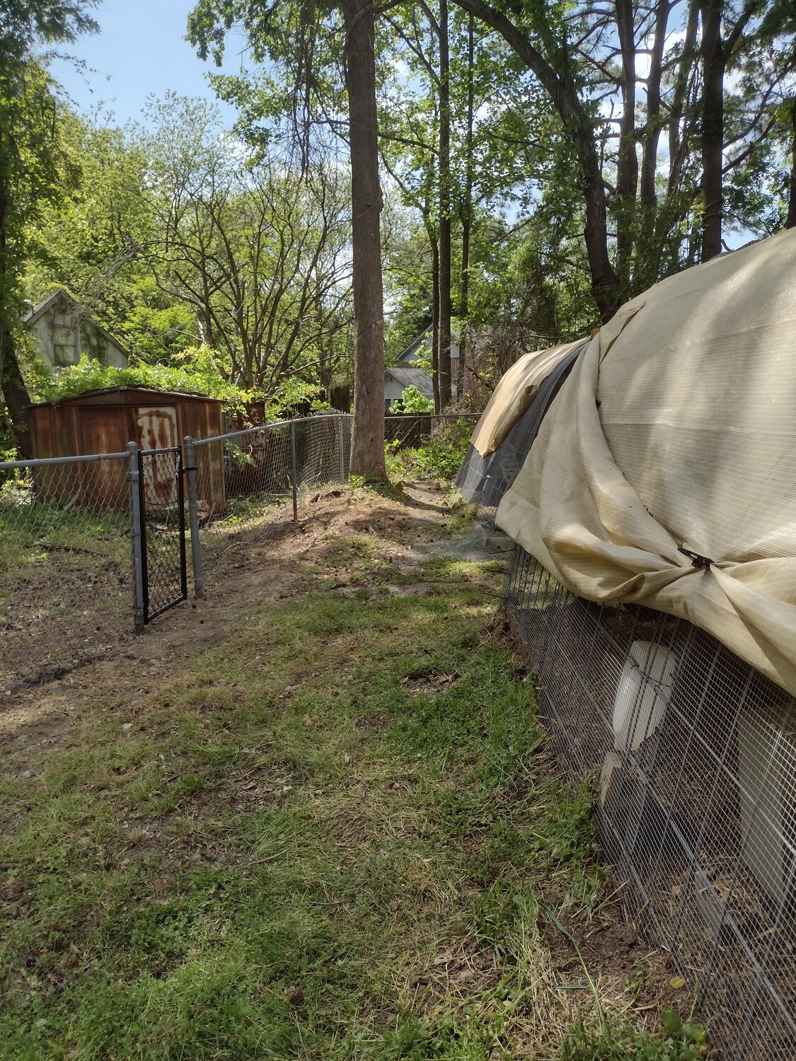 IMG_20250418_153359062_HDR.jpg