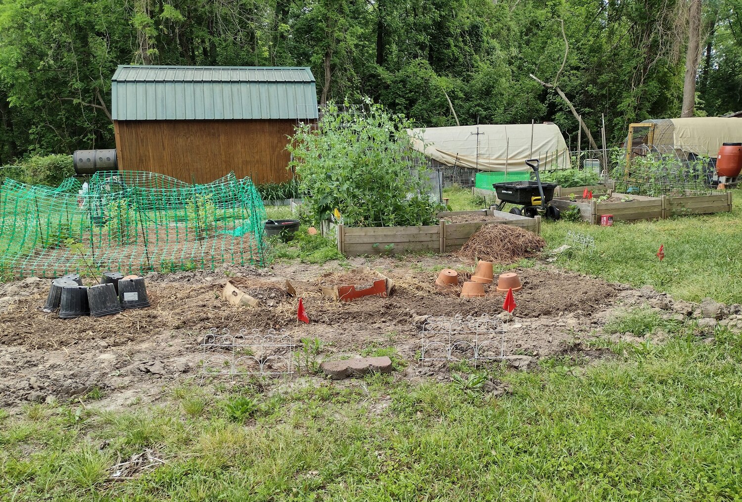 IMG_20250425_120114730_HDR~2.jpg