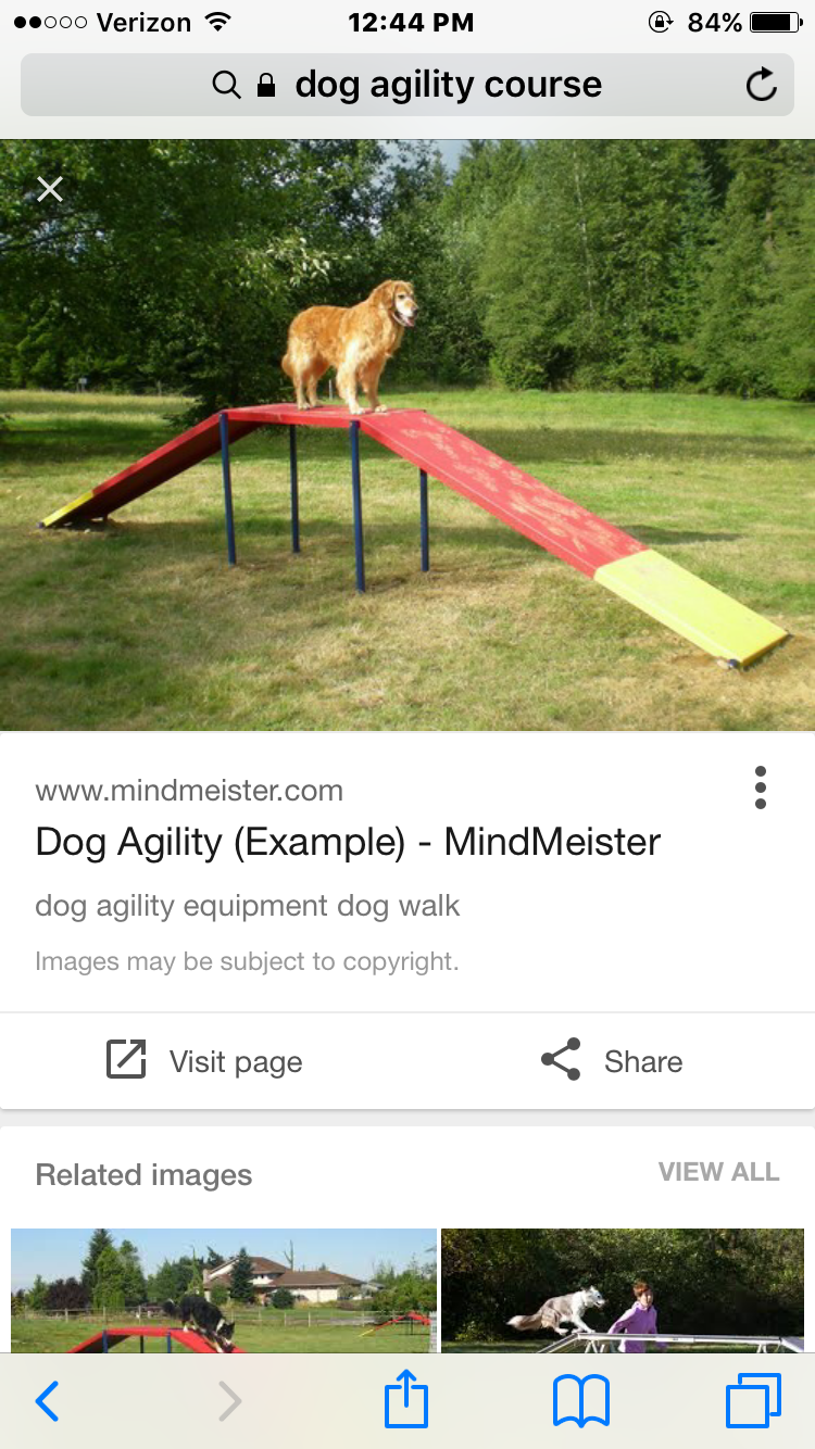 IMG_2638.PNG
