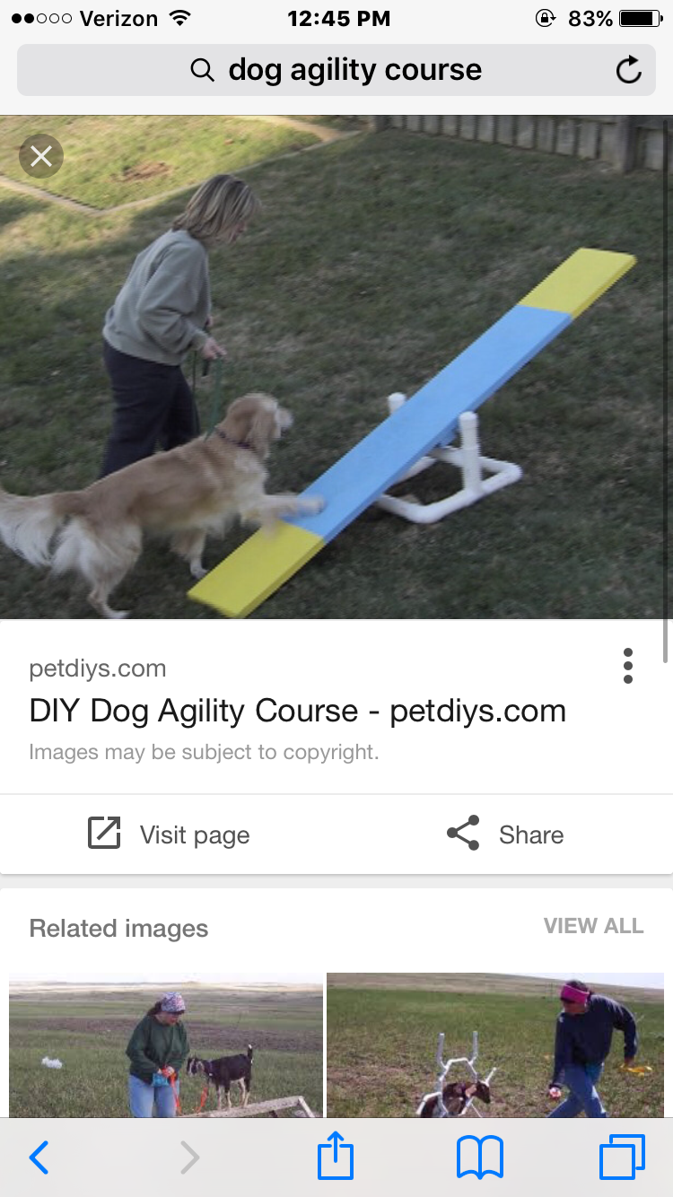 IMG_2639.PNG