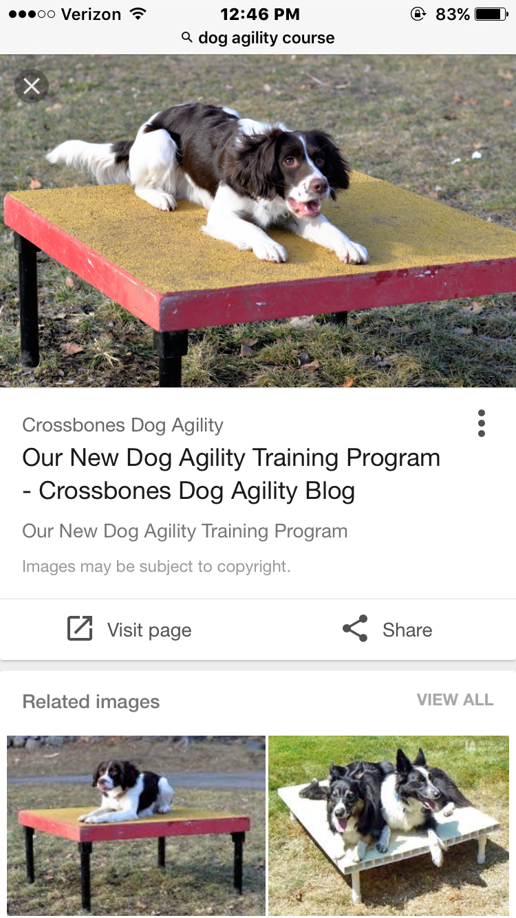 IMG_2640.PNG