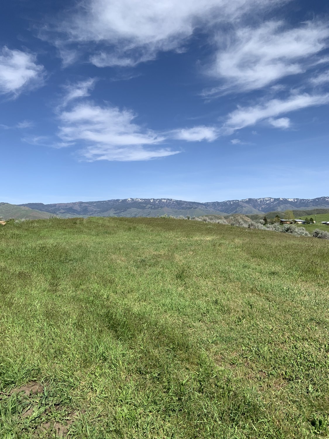 IMG_6035.jpeg