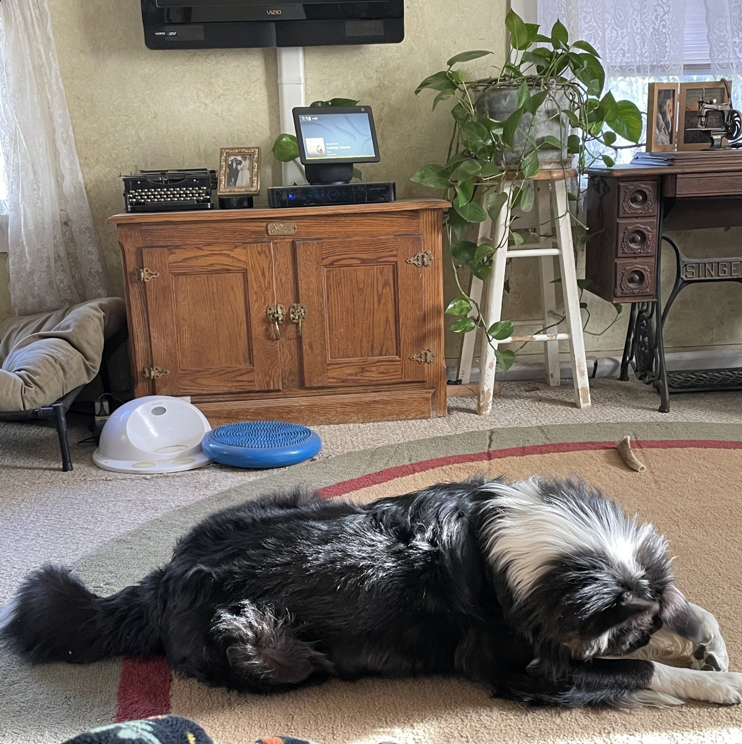 IMG_8611.jpeg