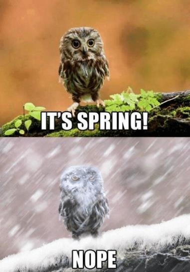 its spring nope.jpg