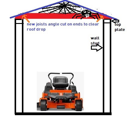 joists2.jpg