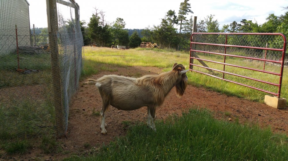 May 17th 2016 060.jpg