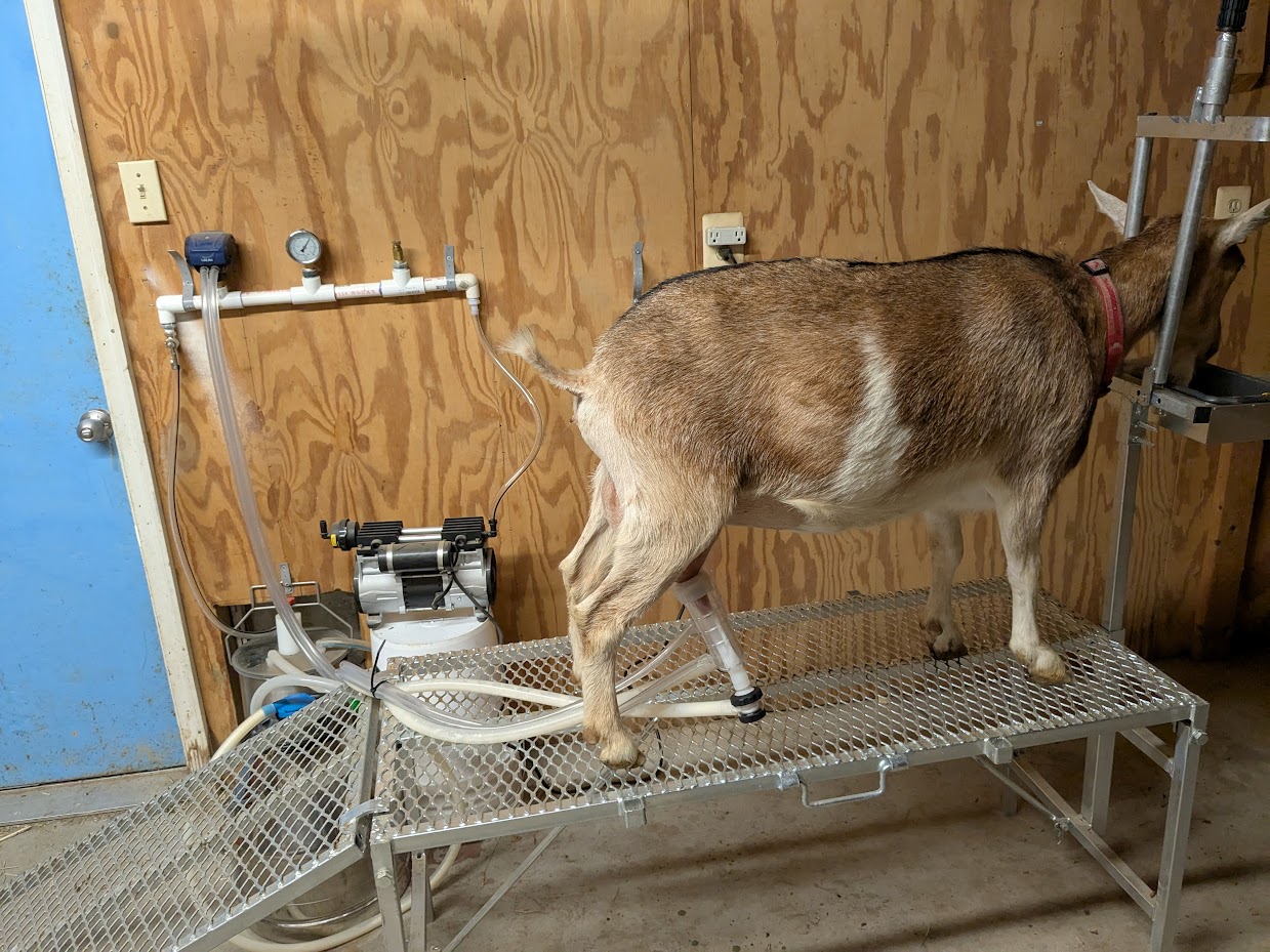 milk machine 1.jpg