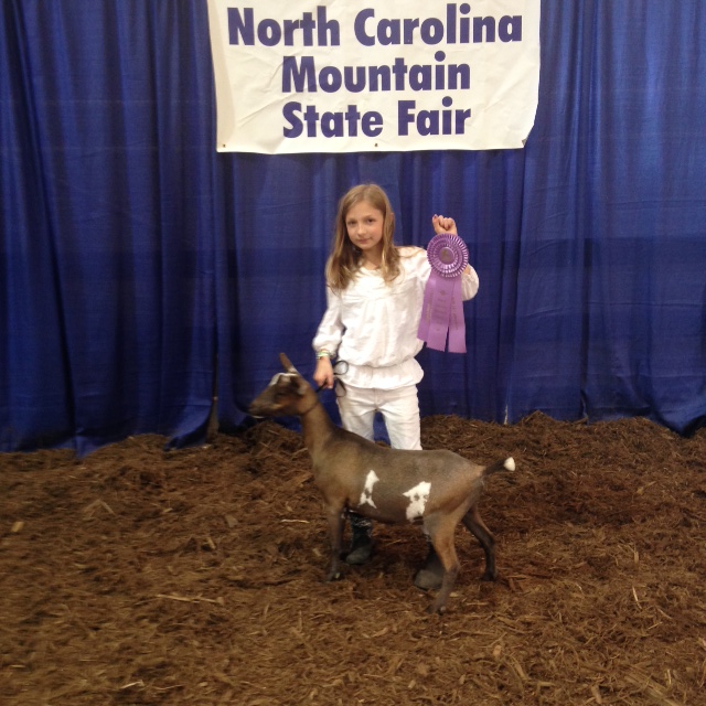 Mt. State Fair.jpg