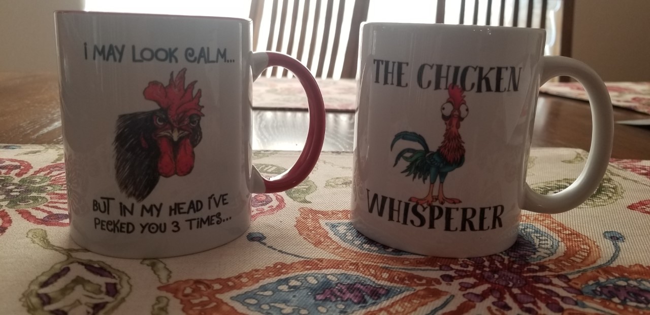 Mugs from JJ 7.14.2020.jpg