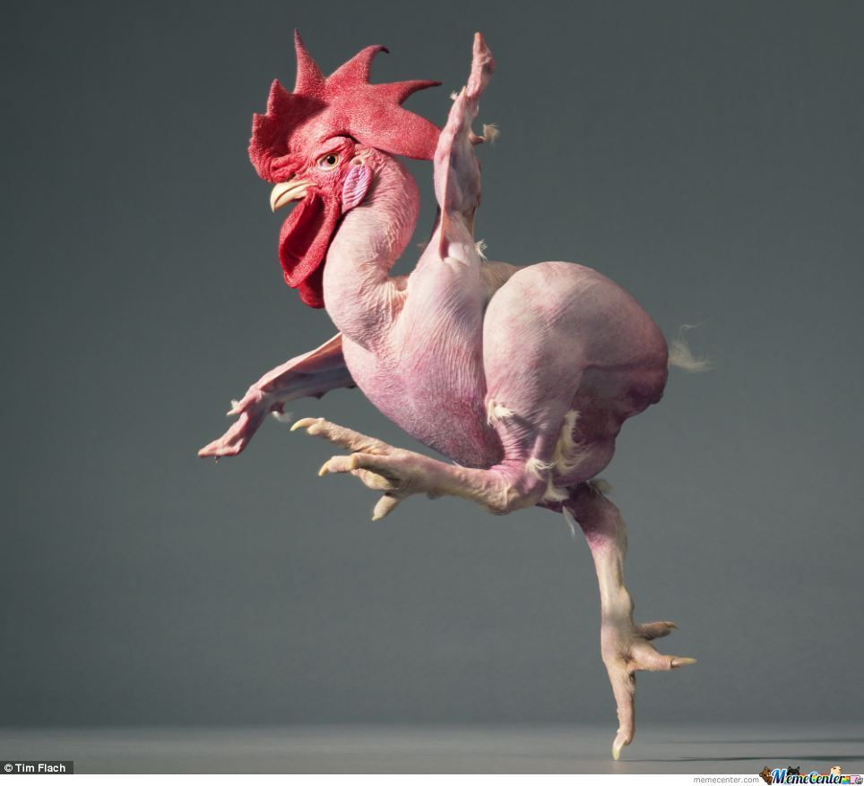 naked-chicken-is-naked_o_900893.jpg