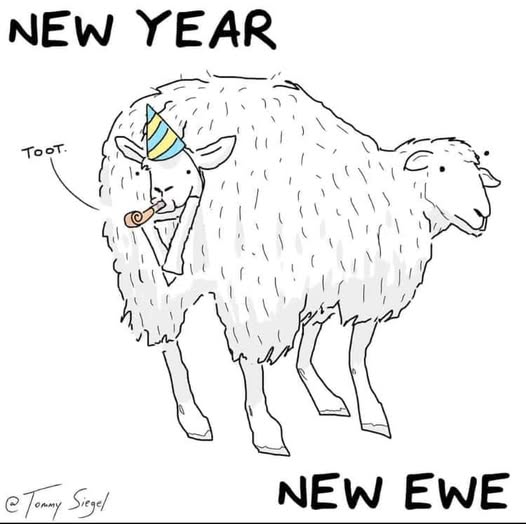 new ewe.jpg