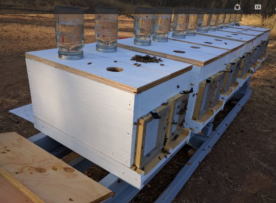 nucs with syrup jars and vents 1.JPG