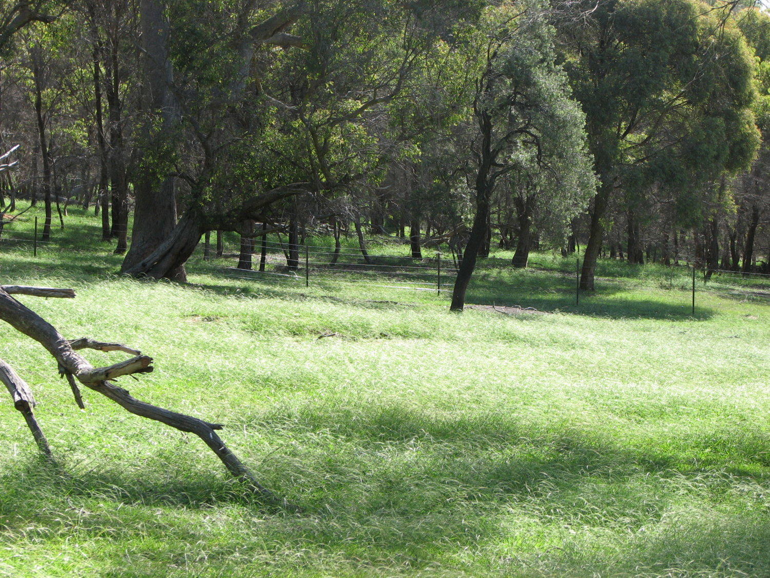 overhead farm 064.jpg