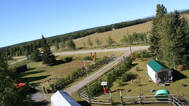 pasture and orchard.jpg