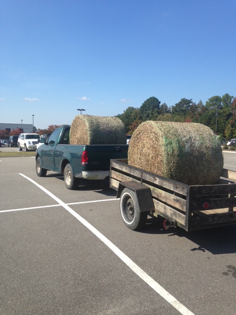 Peanut Hay.jpg