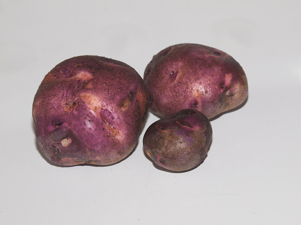 Purple_viking_potato_X3104404_03-10-2021-001.jpg