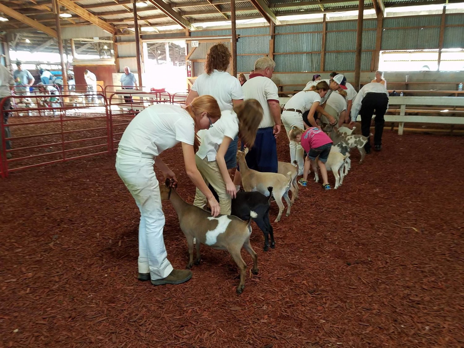 Rowan County fair 1 (76).jpg