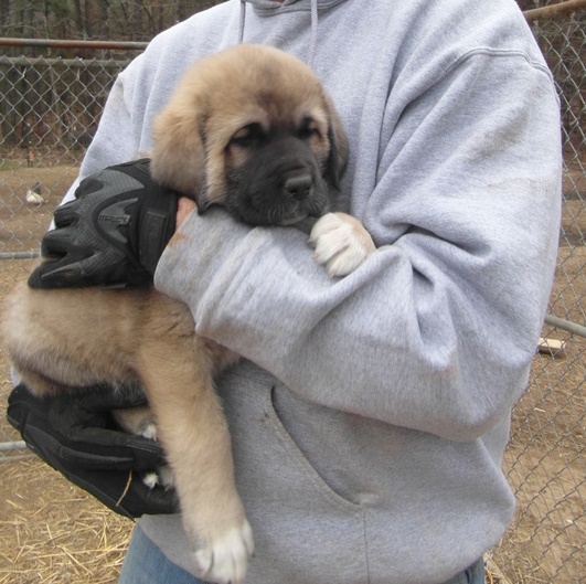 SAM_5695 - Copy.JPG