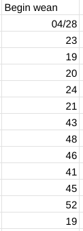Screenshot 2025-04-30 2.17.46 PM.png