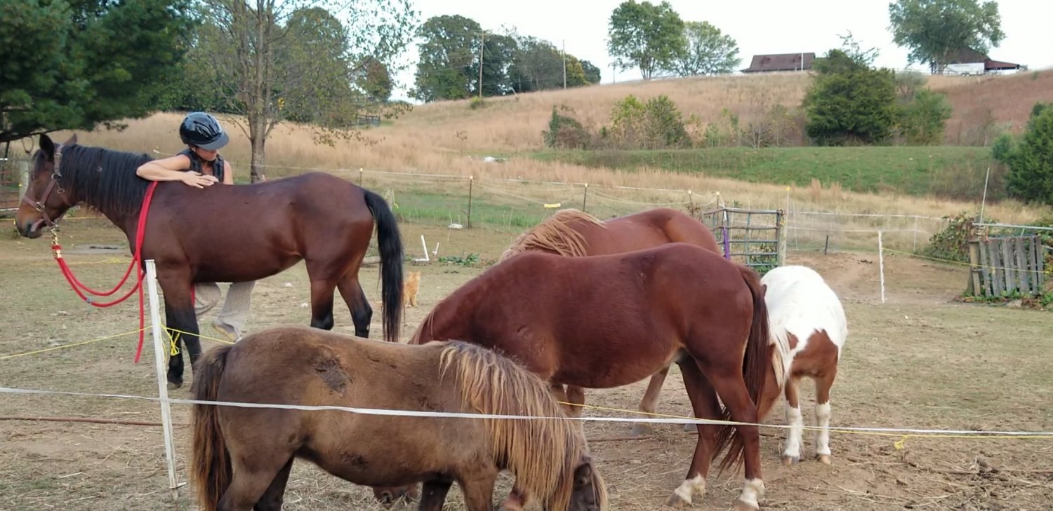 Screenshot_20191015-192240_Video Player.jpg