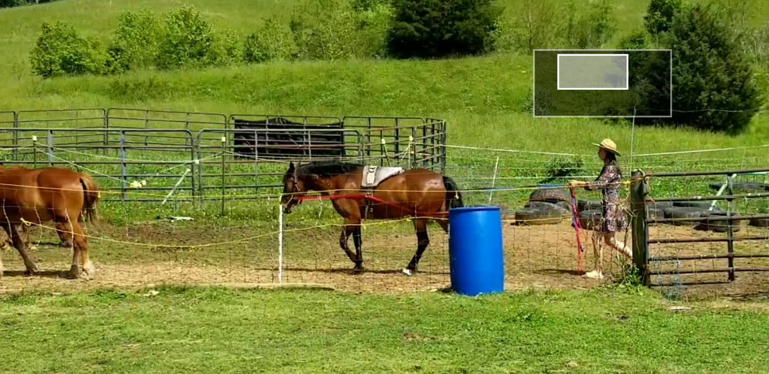 Screenshot_20200526-155755_Video Player.jpg