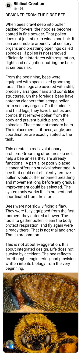 Screenshot_20260428_100225_Facebook.jpg
