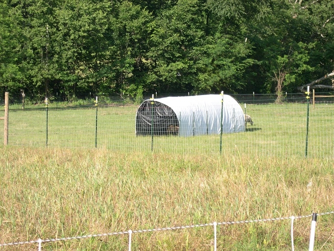 shelter 8 by 20 with shade cloth 14 June 2017.JPG