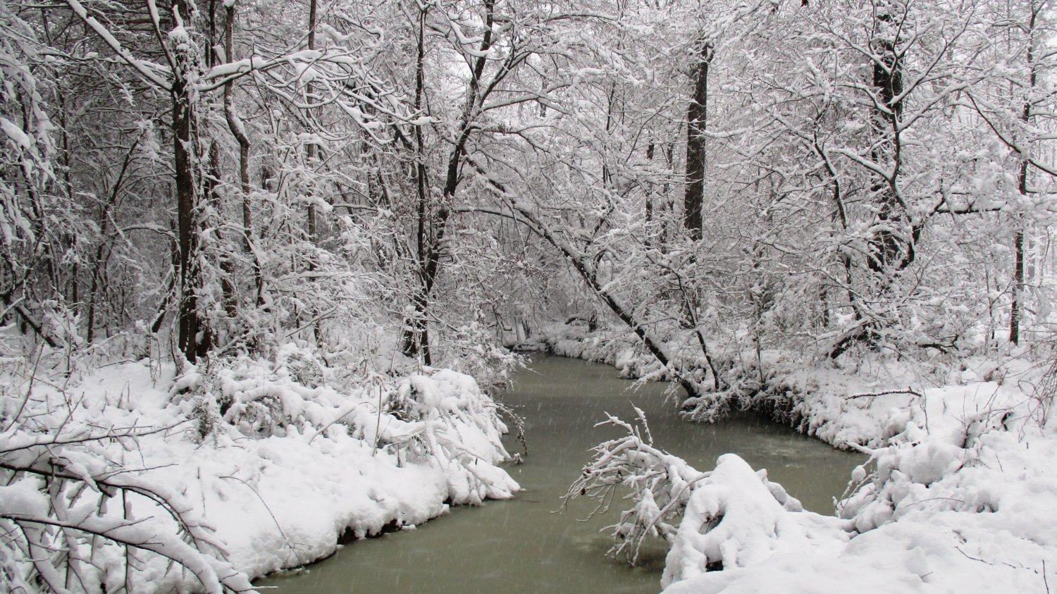 Snow at Creek.JPG