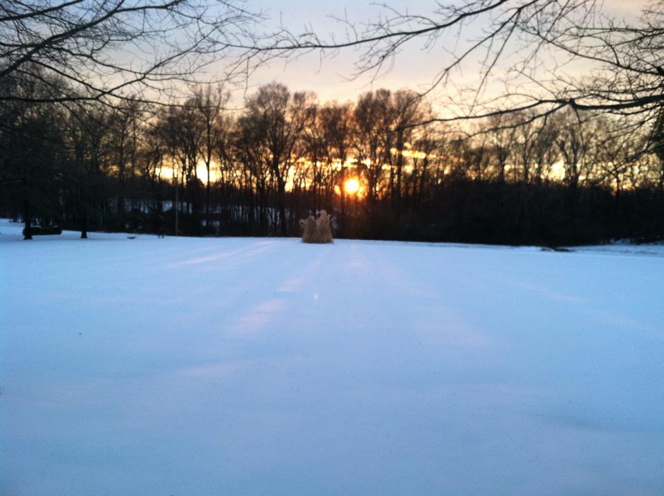 Sunset in the snow.jpg