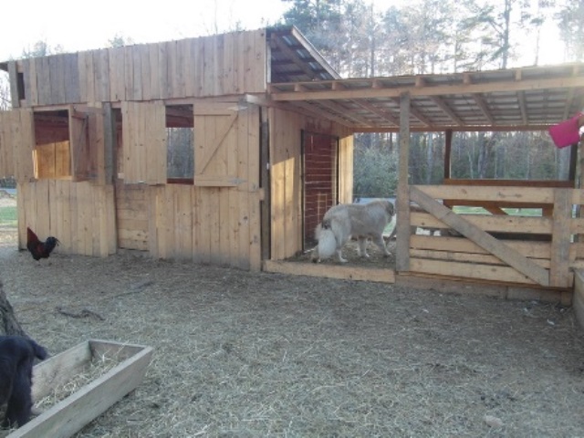 Temporary Barn-Front with loafing area.JPG