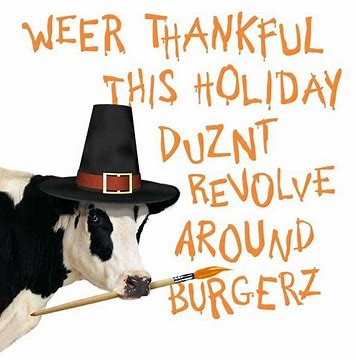 Thanksgiving cow.jpg