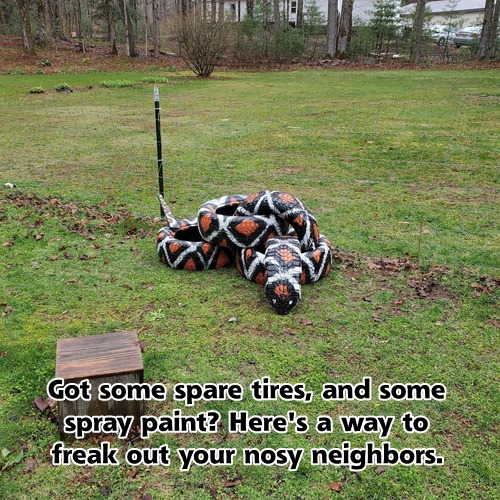 tire snake.jpg