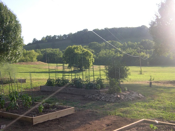 Tomatoes andPeppers with a view.JPG