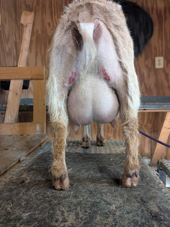 twenty one newly fresh.jpg