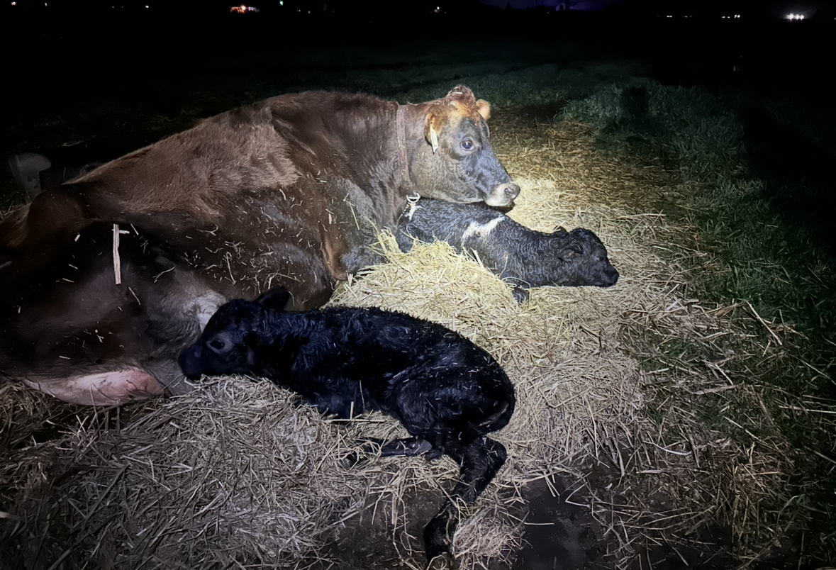 View recent photos.png