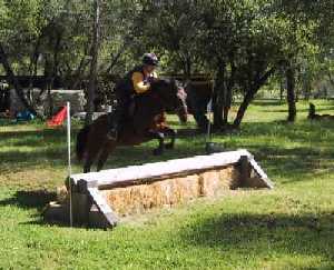 whinny_jump_1 (1).jpg