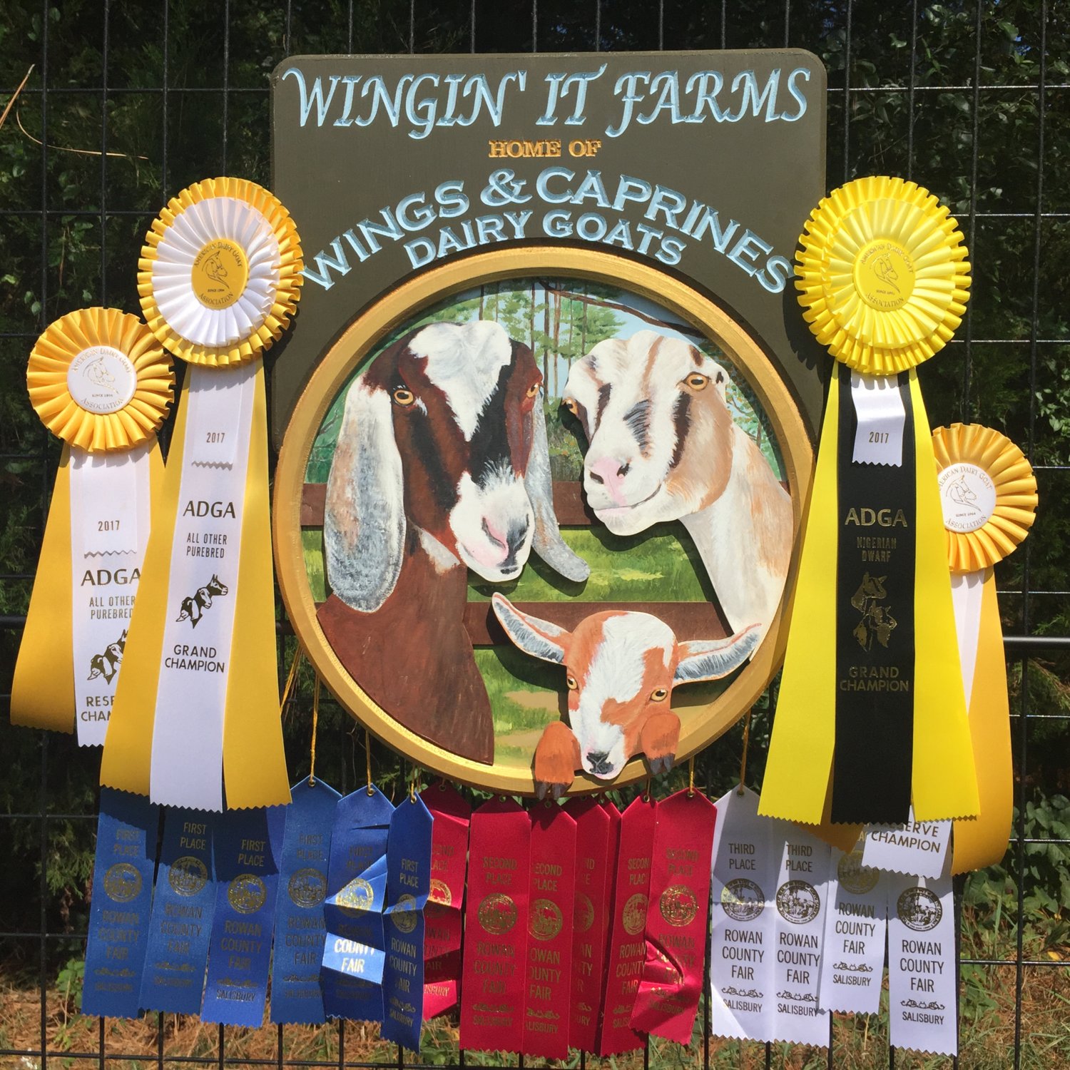 Wingin' it Farms- Rowan Co Fair Sept2017.JPG