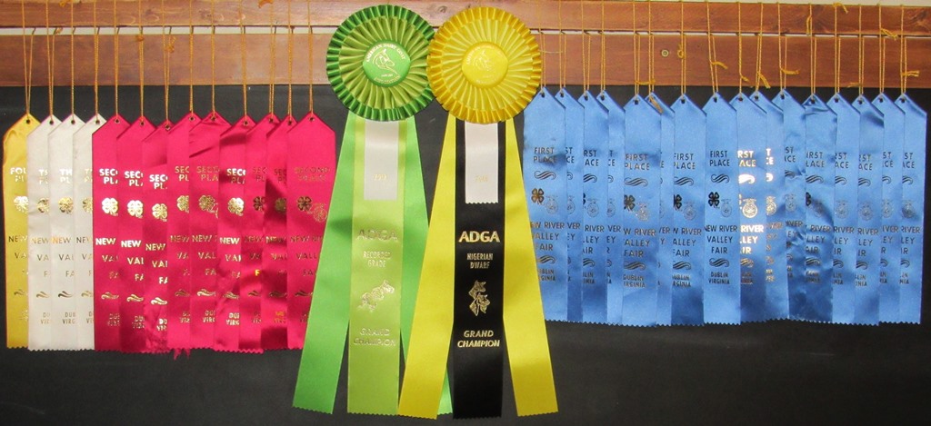 Wings & Caprines Show Wins NRV Fair 2018 - Copy.JPG