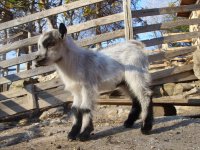 SS851070.JPG SS851070.JPG