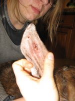 IMG_2876.JPG