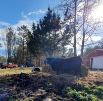 20231224_124859.jpg 20231224_124859.jpg