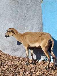 20231127_115412.jpg 20231127_115412.jpg