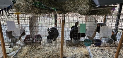 20240112_161509.jpg 20240112_161509.jpg