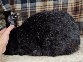 Screenshot_20240112_173452_Video Player.jpg Screenshot_20240112_173452_Video Player.jpg