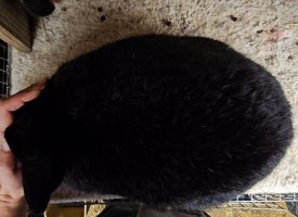 Screenshot_20240112_173523_Video Player.jpg Screenshot_20240112_173523_Video Player.jpg