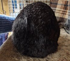 Screenshot_20240112_171154_Video Player.jpg Screenshot_20240112_171154_Video Player.jpg