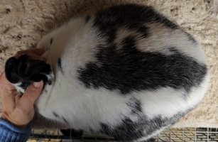 Screenshot_20240112_171914_Video Player.jpg Screenshot_20240112_171914_Video Player.jpg