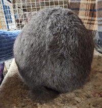 Screenshot_20240112_172244_Video Player.jpg Screenshot_20240112_172244_Video Player.jpg