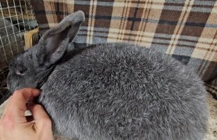 Screenshot_20240112_172250_Video Player.jpg Screenshot_20240112_172250_Video Player.jpg