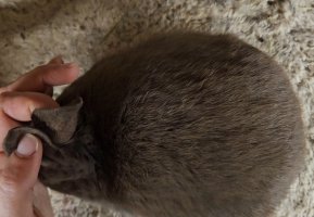 Screenshot_20240112_172816_Video Player.jpg Screenshot_20240112_172816_Video Player.jpg